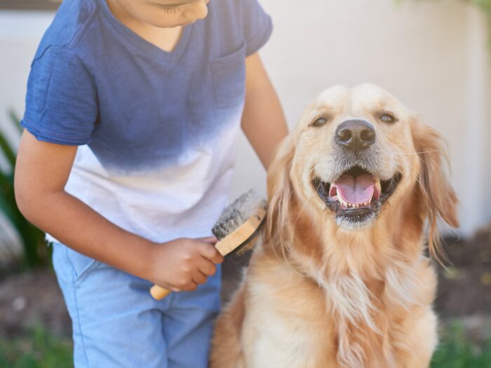 Pet care