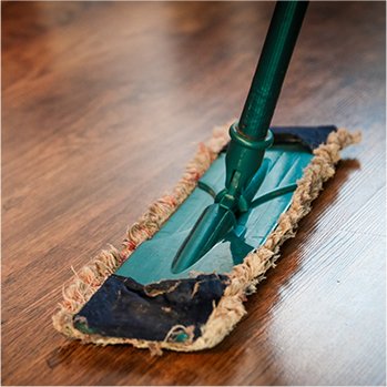 Housecleaning
